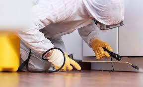 Best Pest Prevention Services  in Idylwood, VA